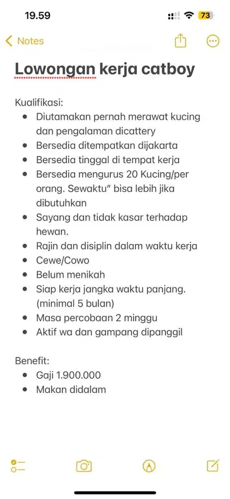 Lowongan kerja catboy
