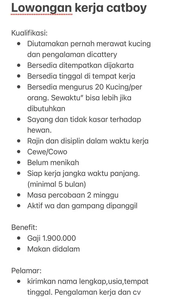 Lowongan kerja catboy dan catgirl