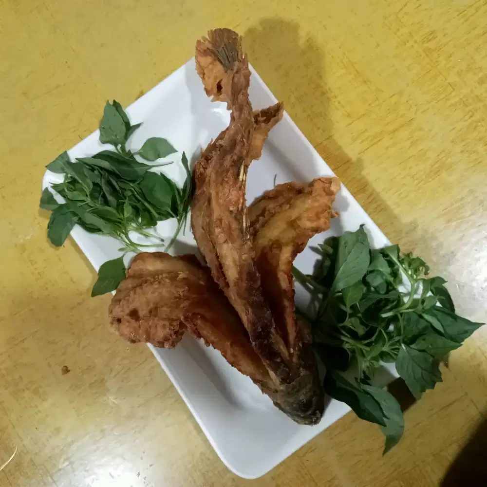 Mencari lowongan pekerjaan