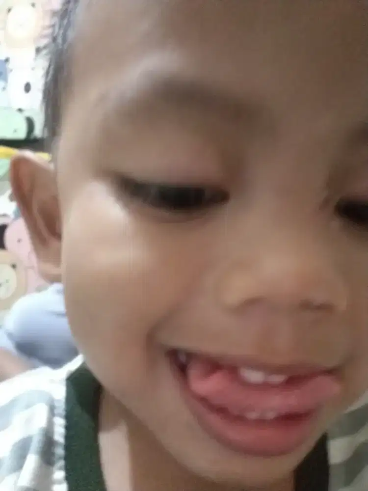 momong anak di bawa ke rumah