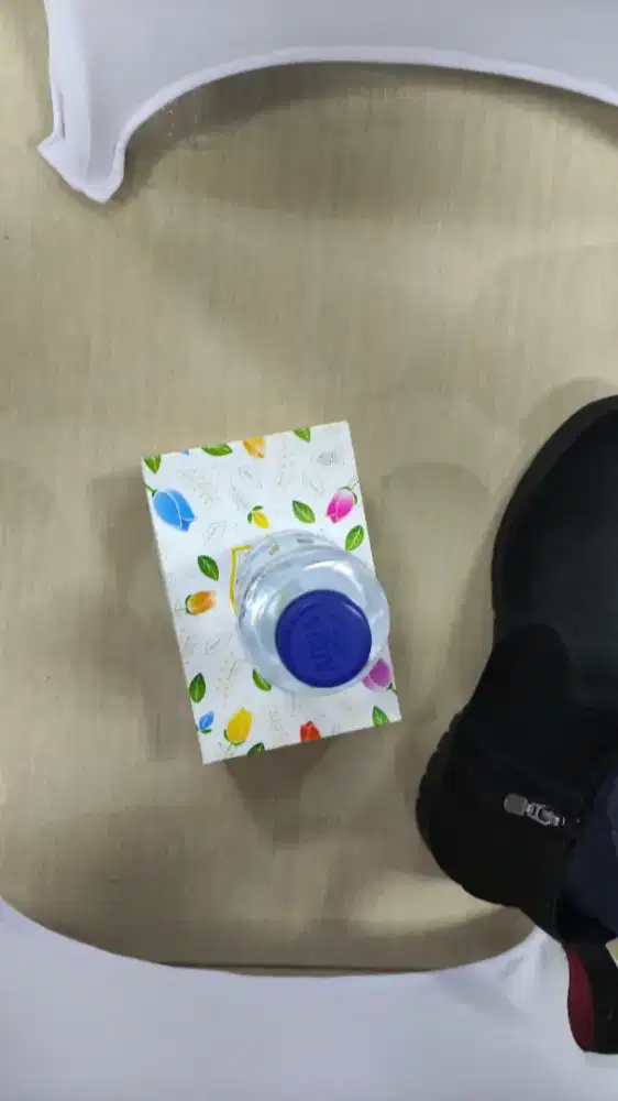 Pengasuh Anak Anak