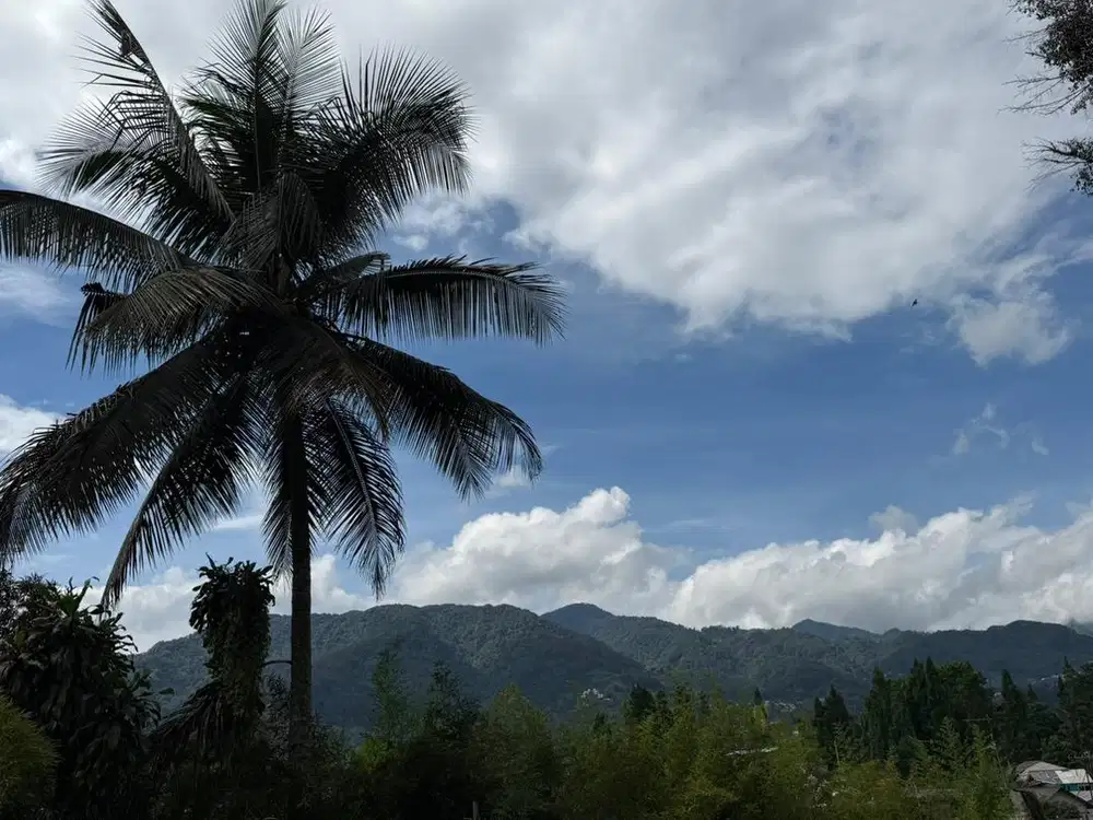 Di cari art yg bisa nginap atau pulang hari
