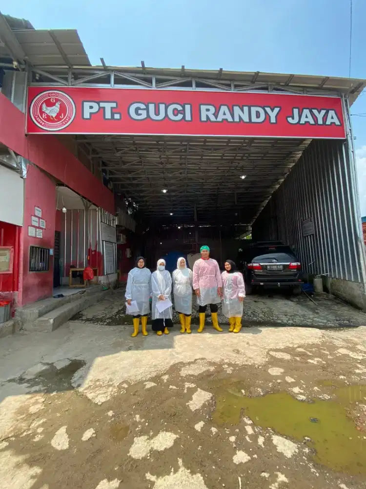 PEREMPUAN OpenRecruitmen(Dibuka Lowongan Pekerjaan)PT. GUCI RANDY JAYA