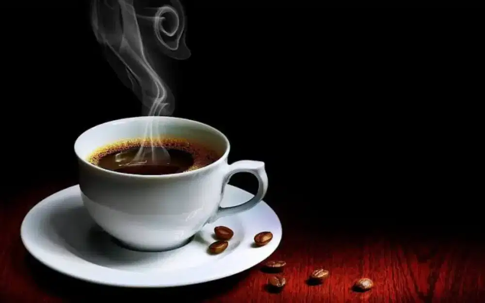 Dibutuhkan segera barista