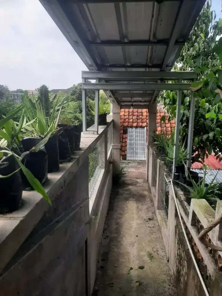 Menerima Jasa Harian