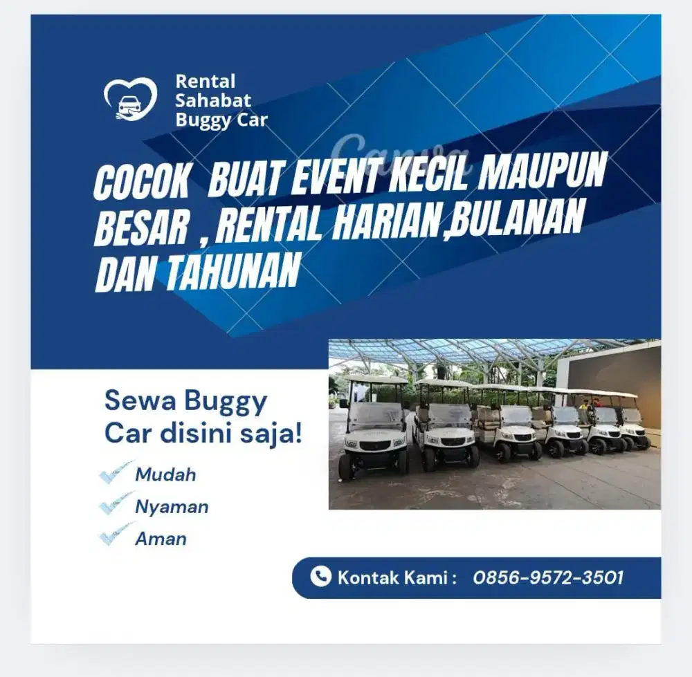 Sewa buggy car/ golfcar