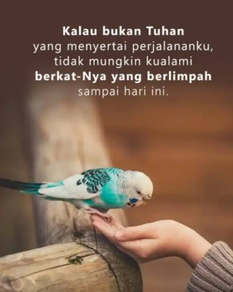 A. Hariyono