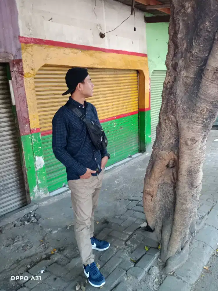 Setia budi