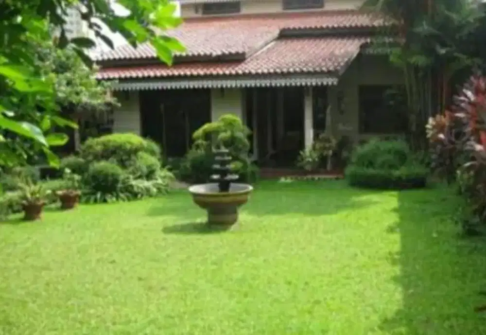Jasa potong rumput dan menata taman