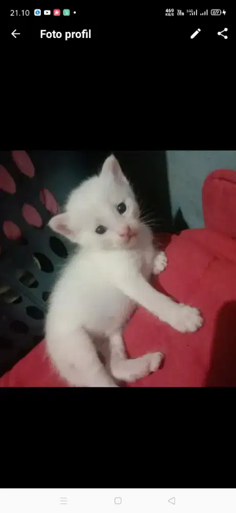 Yuki