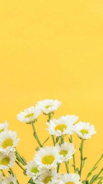 AuthenticShopper