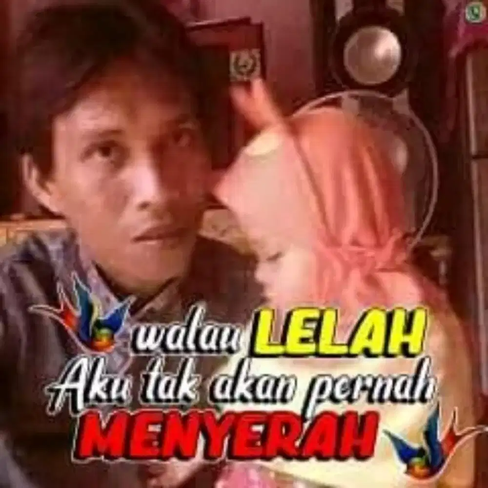 teguh saputra