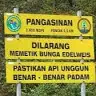 coboylanang
