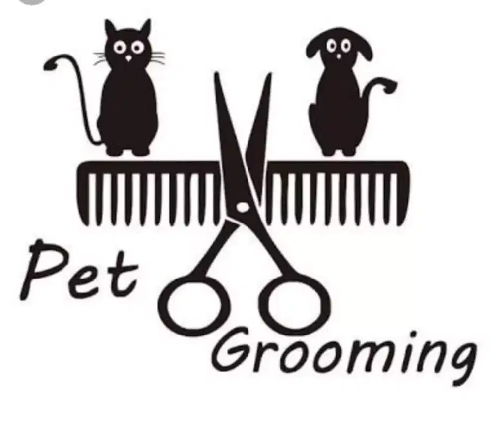 Pet grooming17