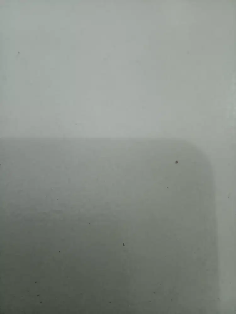 Dina