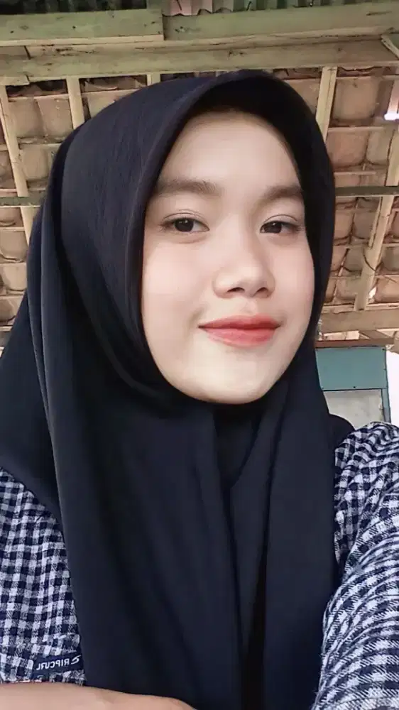 DENI PUTRA TRAVEL PENYALUR ART