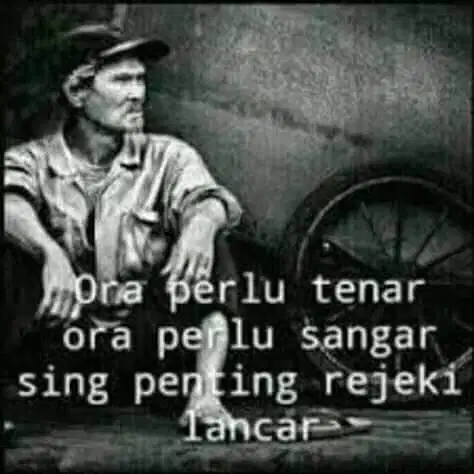 Bejo selawase