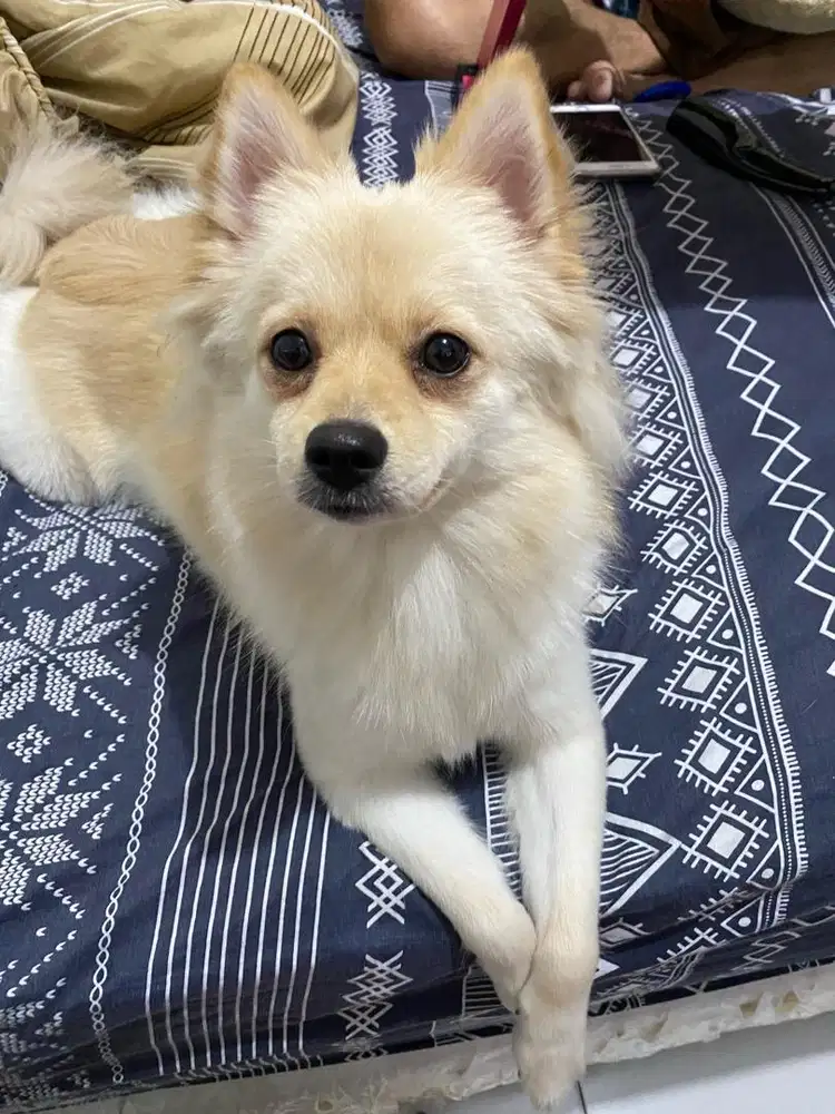 Yukuri