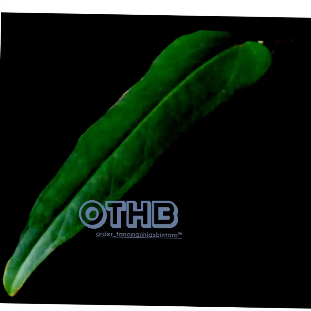 Order_tanamanhias.bintaro