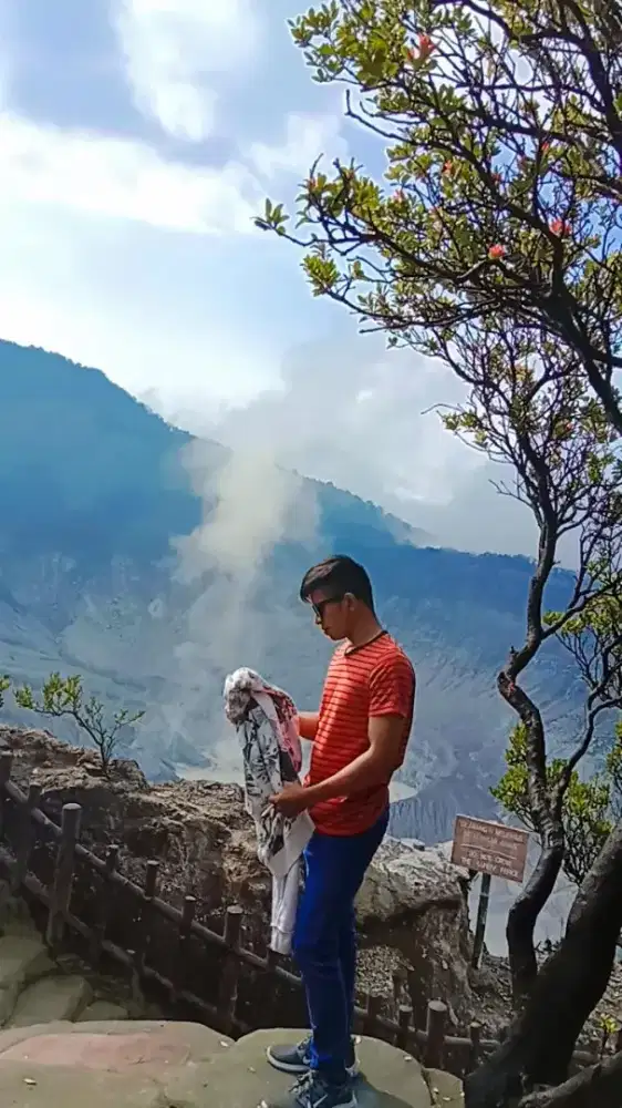 Mr lingga