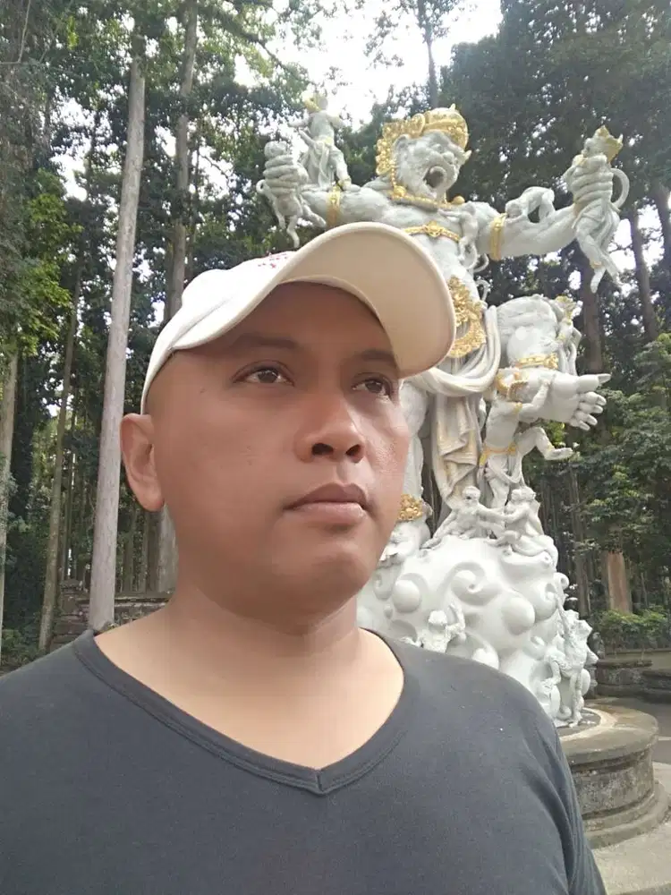 Peni hartono