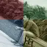 Bucek Adi