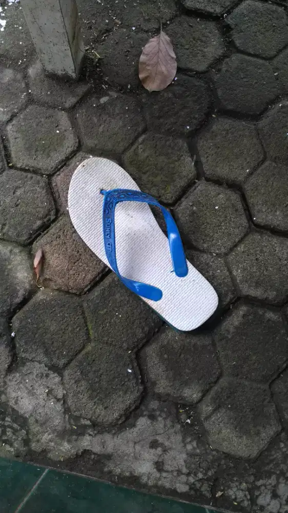 Sendaljepit