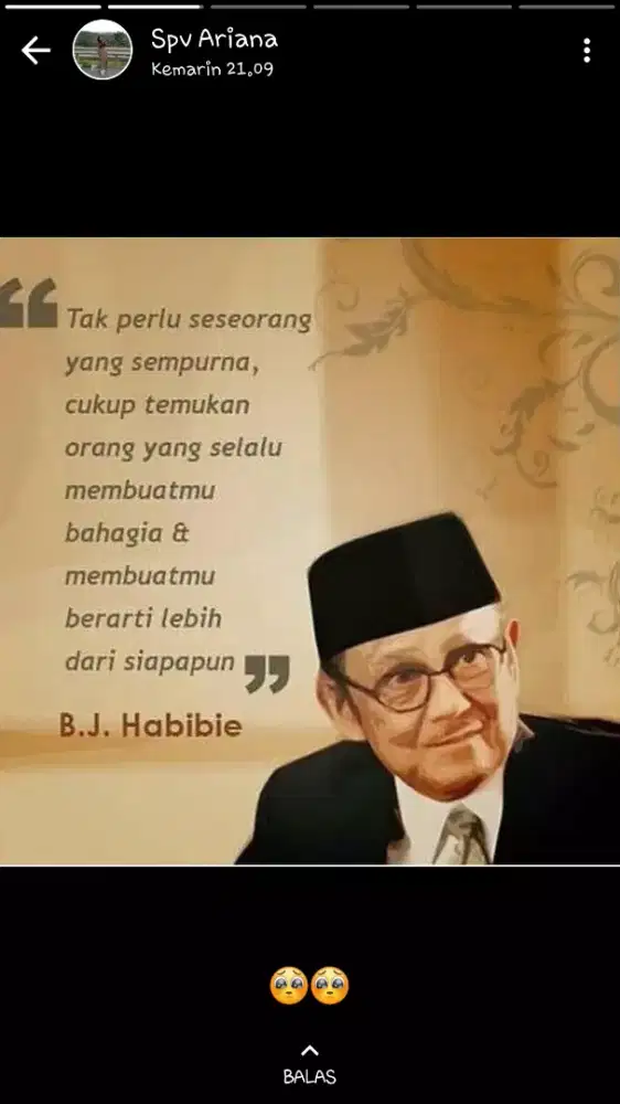 Mr alep