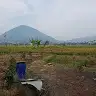 Maryanto