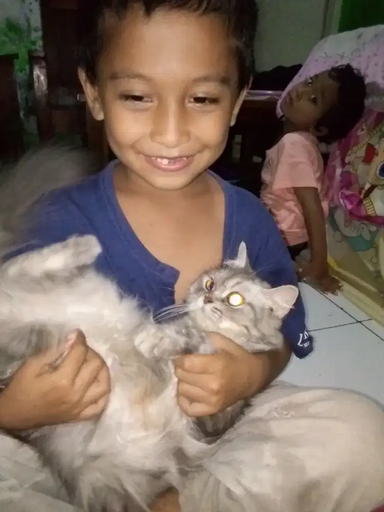 Cholinda