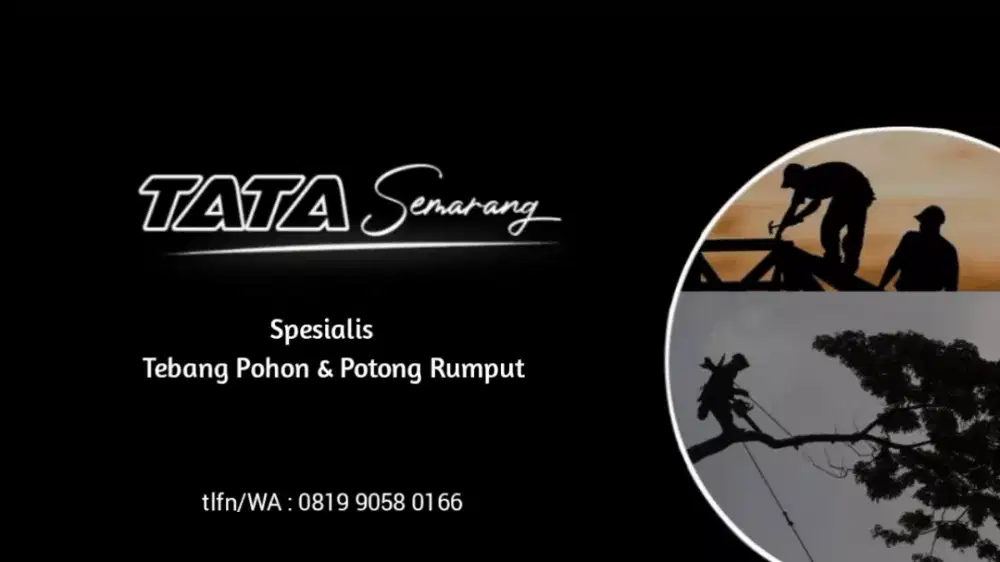 Tebang Pohon semarang